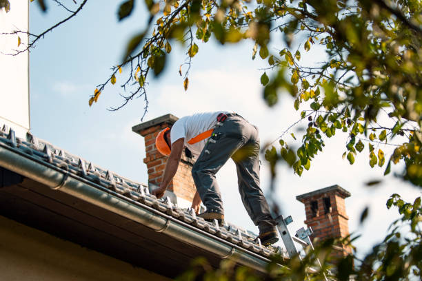Professional Roofing Contractor in Morgantown, MS