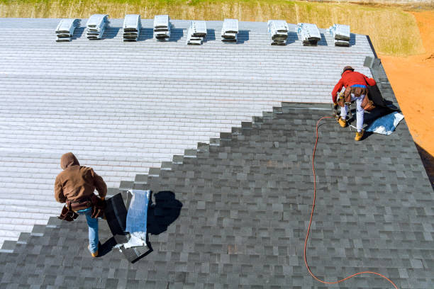 Best Shingle Roofing Installation  in Morgantown, MS