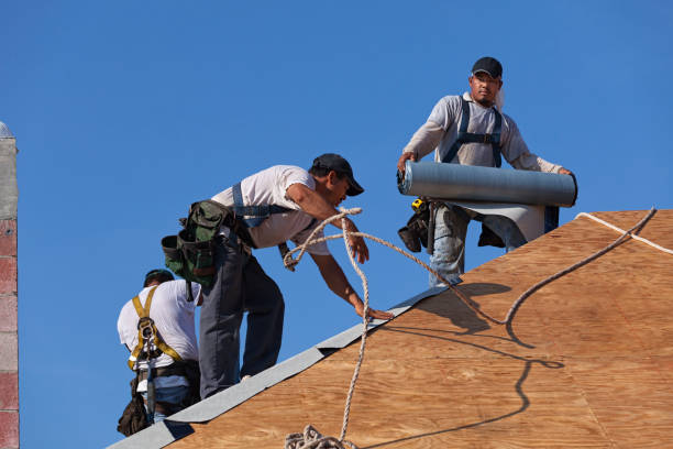 Best Metal Roofing Contractor  in Morgantown, MS