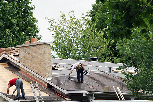Best Storm Damage Roof Repair  in Morgantown, MS