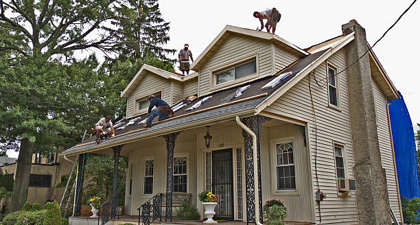 Best Gutter Installation and Roofing  in Morgantown, MS